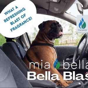 New MiaBella car air freshener available 8/1/22